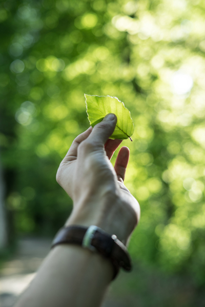 tobias-weinhold-hXPomXrpUP0-unsplash