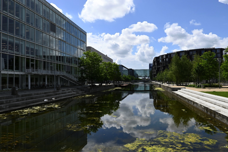 Apartment complex: Gronningen, Copenhagen (Grønjordssøen district (Ørestad Nord, Vejlands Kvarter)